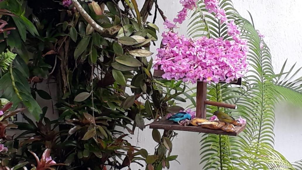 Suites Beija-Flor Araquari Zewnętrze zdjęcie