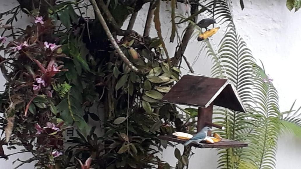 Suites Beija-Flor Araquari Zewnętrze zdjęcie