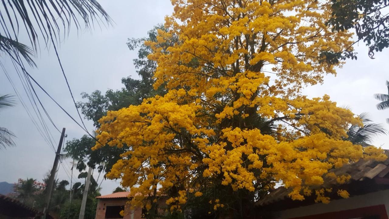 Suites Beija-Flor Araquari Zewnętrze zdjęcie